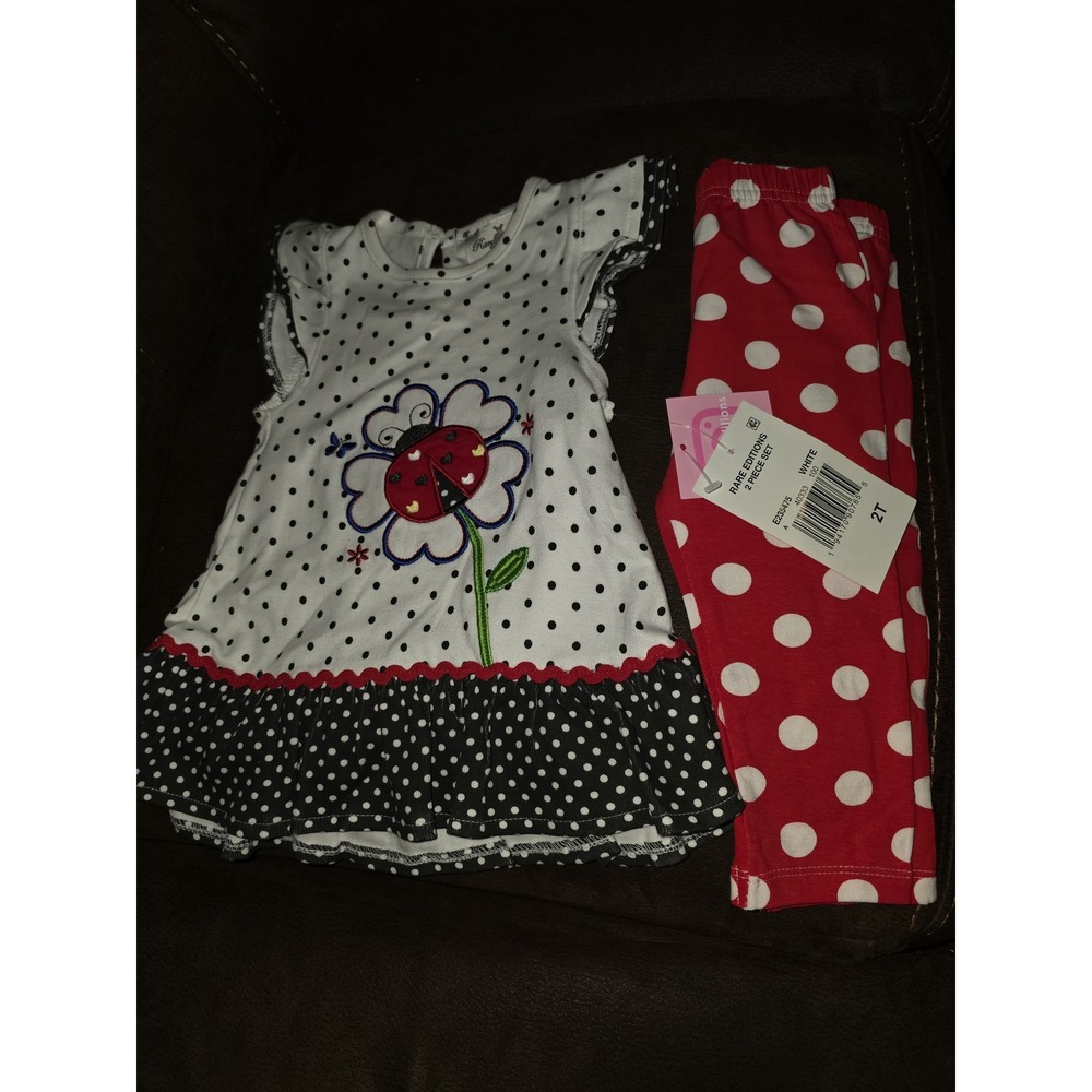 Rare editions floral ladybug outfit dress leggings size 2t nwt